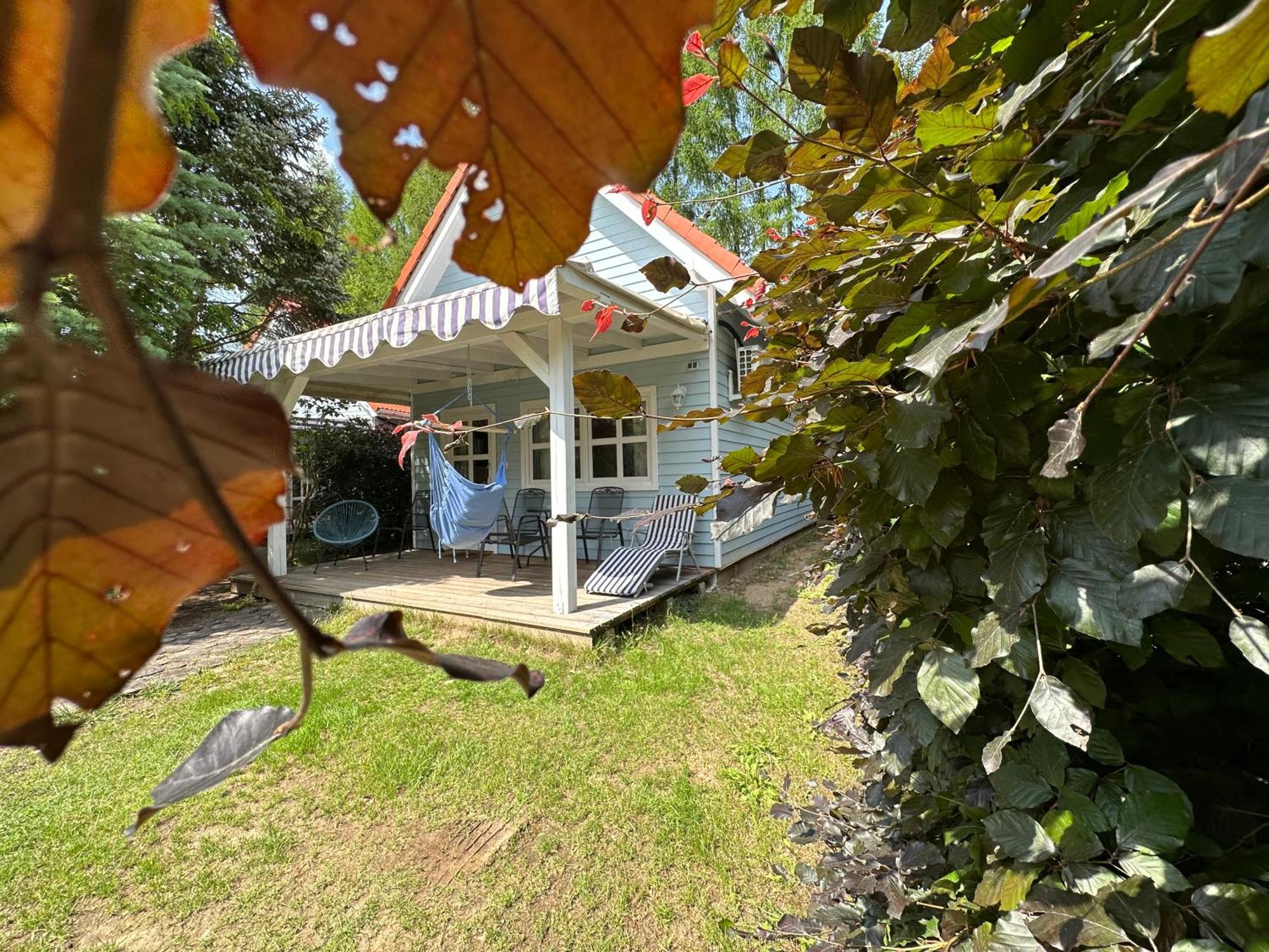 Kwiat Paproci Daire Ryn  Dış mekan fotoğraf